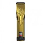 Dingling RF-691 Professional Hair Clipper