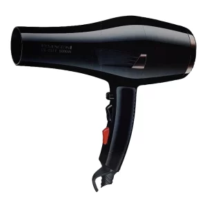 Remington RE-2017 Professional Hair Dryer