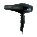 Remington RE-2021 Professional Hair Dryer